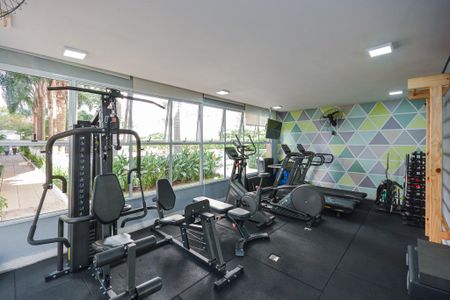 Apartamento para alugar com 70m², 3 quartos e 1 vaga Apartamento para alugar com 70m², 3 quartos e 1 vagaÁrea comum - Academia