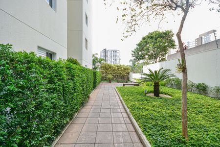Apartamento para alugar com 70m², 3 quartos e 1 vaga Apartamento para alugar com 70m², 3 quartos e 1 vagaÁrea comum