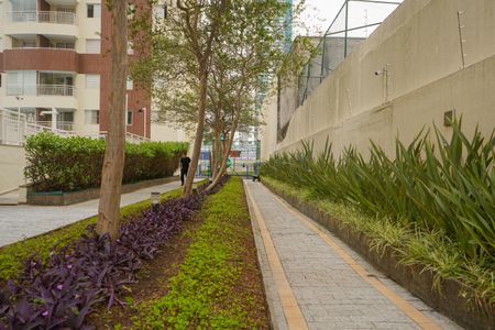 Apartamento para alugar com 74m², 3 quartos e 2 vagasÁrea comum - Verde