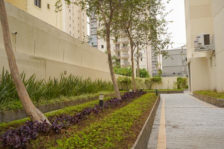 Apartamento para alugar com 74m², 3 quartos e 2 vagasÁrea comum