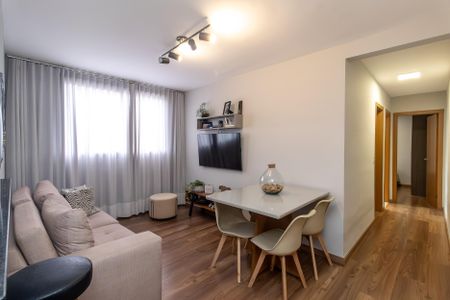 Sala de apartamento à venda com 2 quartos, 46m² em Castelo, Belo Horizonte
