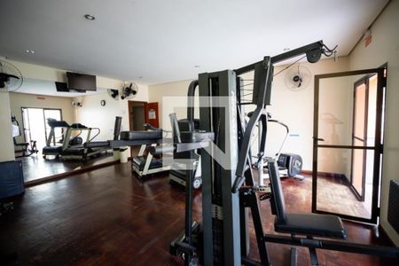 Apartamento à venda com 74m², 3 quartos e 1 vaga Apartamento à venda com 74m², 3 quartos e 1 vagaÁrea comum - Academia