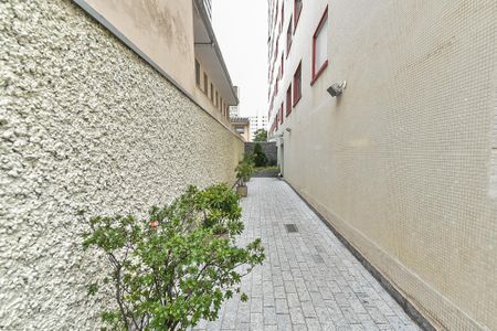 Apartamento para alugar com 40m², 1 quarto e 1 vagaÁrea comum