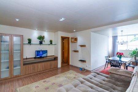 Sala de apartamento à venda com 3 quartos, 80m² em Calafate, Belo Horizonte