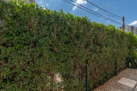 Apartamento para alugar com 54m², 2 quartos e 1 vagaVista Quarto 2