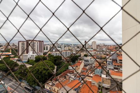 Apartamento para alugar com 74m², 3 quartos e 2 vagasSuíte - Vista