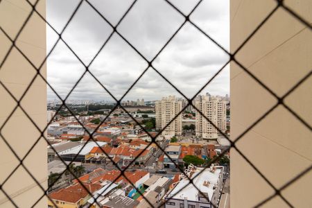 Apartamento para alugar com 74m², 3 quartos e 2 vagasÁrea de Serviço - Vista