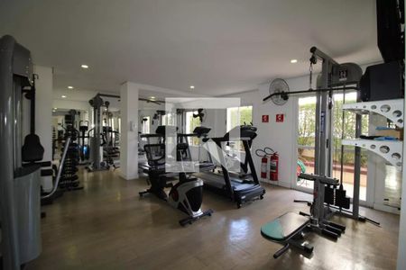 Apartamento para alugar com 74m², 3 quartos e 2 vagasÁrea comum - Academia