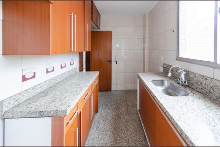 Cozinha de apartamento para alugar com 3 quartos, 110m² em Alto Caiçaras, Belo Horizonte