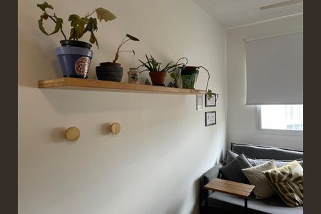 Sala de apartamento para alugar com 2 quartos, 36m² em Várzea da Barra Funda, São Paulo