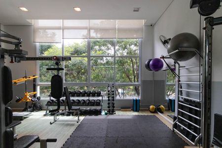 Apartamento para alugar com 242m², 5 quartos e 3 vagas Apartamento para alugar com 242m², 5 quartos e 3 vagasAcademia