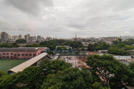 Apartamento para alugar com 242m², 5 quartos e 3 vagas Apartamento para alugar com 242m², 5 quartos e 3 vagasSuíte 2