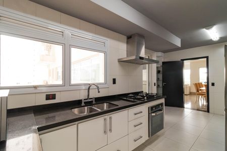 Apartamento para alugar com 242m², 5 quartos e 3 vagas Apartamento para alugar com 242m², 5 quartos e 3 vagasCozinha