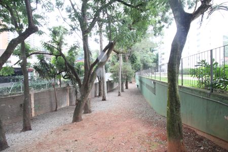 Apartamento para alugar com 75m², 3 quartos e 1 vagaEspaço Pet