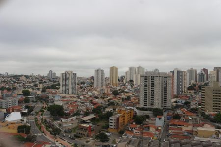 Apartamento para alugar com 316m², 4 quartos e 4 vagasVista