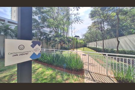 Apartamento para alugar com 62m², 2 quartos e 1 vaga Apartamento para alugar com 62m², 2 quartos e 1 vagaPet Place