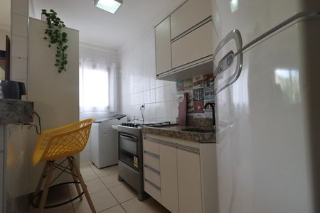 Cozinha de apartamento para alugar com 1 quarto, 45m² em Subsetor Sul - 7 (s-7), Ribeirão Preto