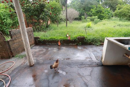 Casa para alugar com 1600m², 4 quartos e 12 vagasÁrea de serviço 