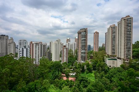 Vista de apartamento para alugar com 1 quarto, 97m² em Paraíso do Morumbi, São Paulo