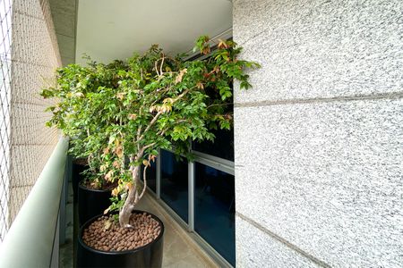 Varanda da Sala de apartamento à venda com 4 quartos, 209m² em Lourdes, Belo Horizonte