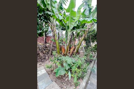 Casa para alugar com 400m², 4 quartos e 3 vagasÁrea externa