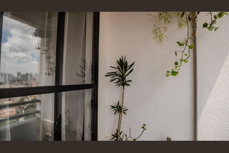 Apartamento à venda com 60m², 2 quartos e 1 vagaSacada