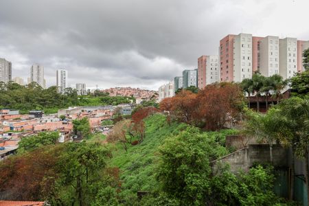 Apartamento para alugar com 49m², 2 quartos e 1 vaga Apartamento para alugar com 49m², 2 quartos e 1 vagaVista do Quarto 1