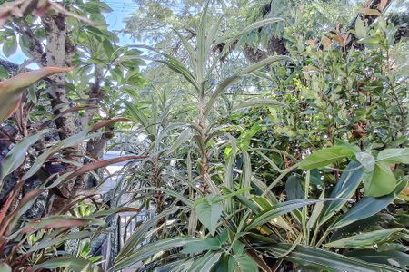 Apartamento para alugar com 47m², 2 quartos e 1 vagaVista do Quarto 2