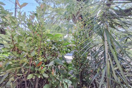 Apartamento para alugar com 47m², 2 quartos e 1 vagaVista do Quarto 1