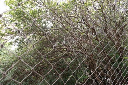 Casa à venda com 309m², 4 quartos e 3 vagas Casa à venda com 309m², 4 quartos e 3 vagasVista