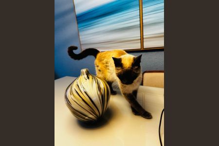 Casa à venda com 170m², 4 quartos e 3 vagasFoto 11