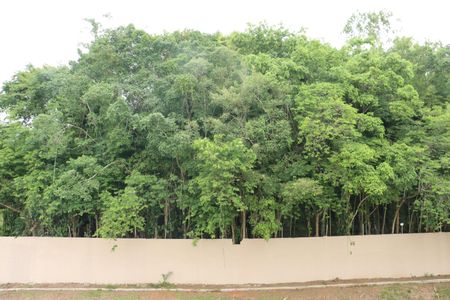 Apartamento para alugar com 2 quartos, 47m² em Granja Viana, Cotia