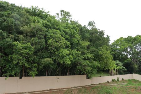 Apartamento para alugar com 2 quartos, 47m² em Granja Viana, Cotia
