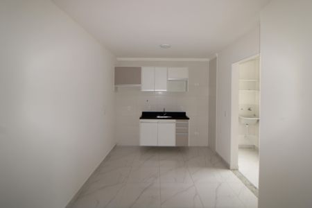 Sala / Cozinha de apartamento para alugar com 1 quarto, 30m² em Vila Pauliceia, São Paulo