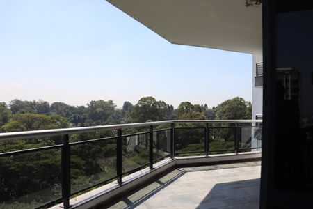 Apartamento à venda com 542m², 7 quartos e 4 vagasFoto 47