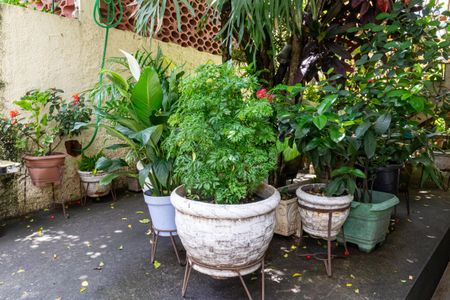 Casa para alugar com 130m², 3 quartos e 3 vagas Casa para alugar com 130m², 3 quartos e 3 vagasQuintal