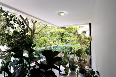 Apartamento à venda com 2 quartos, 87m² em Serra, Belo Horizonte