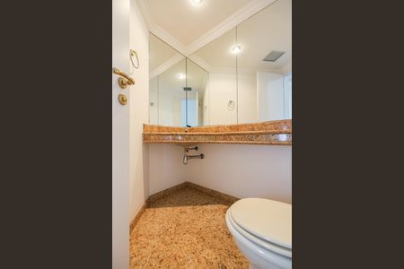 Apartamento à venda com 365m², 5 quartos e 5 vagasLavabo