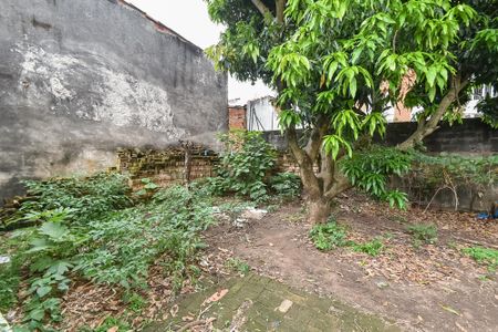 Quintal de casa à venda com 5 quartos, 461m² em Vila Mariana, São Paulo