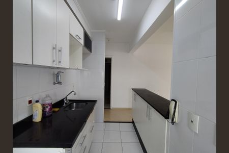 Apartamento para alugar com 67m², 2 quartos e 1 vagaCozinha - Armários