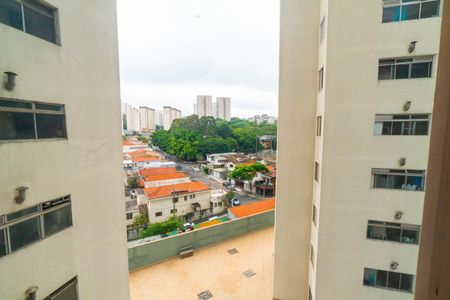 Apartamento para alugar com 70m², 2 quartos e 1 vaga Apartamento para alugar com 70m², 2 quartos e 1 vagaVista da Suite