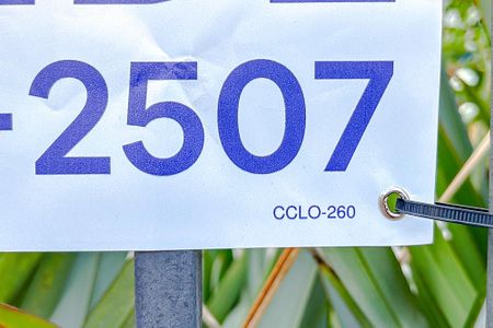 Apartamento à venda com 80m², 3 quartos e 1 vagaCCLO-260