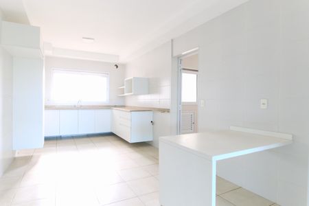 Apartamento para alugar com 260m², 4 quartos e 3 vagasCozinha / Área de Serviço