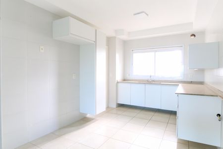 Apartamento para alugar com 260m², 4 quartos e 3 vagasCozinha / Área de Serviço