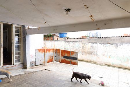 Casa à venda com 250m², 2 quartos e 5 vagasÁrea de Serviço