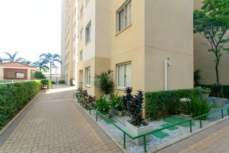 Apartamento para alugar com 42m², 2 quartos e sem vagaÁrea comum 