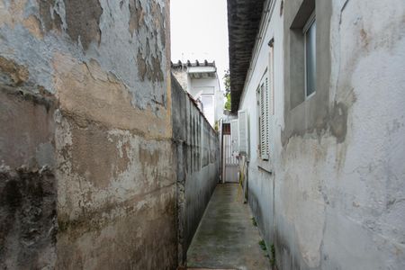 Casa para alugar com 125m², 3 quartos e 1 vaga Casa para alugar com 125m², 3 quartos e 1 vagaÁrea Externa