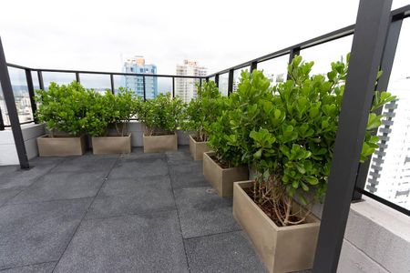 Studio para alugar com 24m², 1 quarto e sem vagaCrossfit