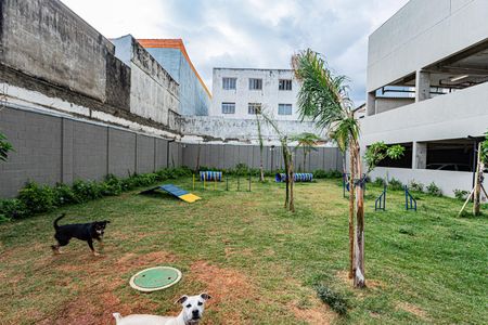 Apartamento para alugar com 56m², 3 quartos e 1 vaga Apartamento para alugar com 56m², 3 quartos e 1 vagaPet place