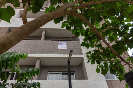 Apartamento para alugar com 24m², 1 quarto e sem vagaPlaca 